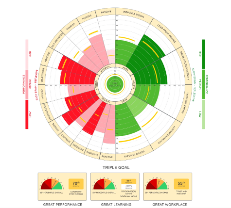 The full Leadership Growth Profile circle: Red Zone (fast-brain reflexive) on the left, Green Zone (slow-brain reflective) on the right, Self-Regulation at the centre, and the Triple Goal scorecards below